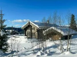 Hand-Crafted Cabin With Sod Roof And Terrace