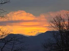 Whispering Bears Chalet