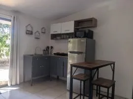 Tranquil Jungle Studio Retreat Near Del Coco Beach