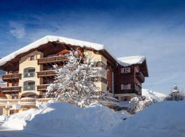 Das Traditionshotel Schwarzer Adler – hotel w mieście Tannheim