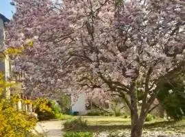 Chez ISA, Havre de Paix Bucolique a proximité de St Aignan et du Parc de Beauval 5km