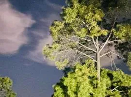 Pinecrest Villa by Splendid Retreat Hotels - Garden - Balcony - Living Room - Family Groups - Events - Mountain View