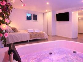 Logement entier avec jacuzzi proche futuroscope, hôtel à Naintré