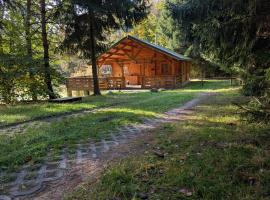 Oaza Las Zagozd – hotel w mieście Olchowiec