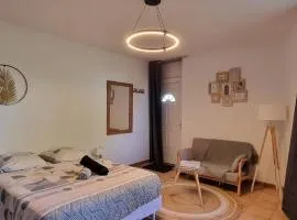 Rose rdc parking sécurisé rénové proc cité congrès 27m2