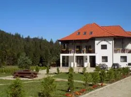 Cabana de Vânătoare Goșman