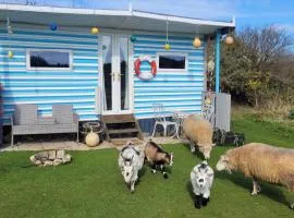 Treguth Glamping Unique Experience - Themed Huts