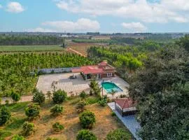 Courtyard Banyan Rustic 2 BHK villa with pool banyan gazebo and open courtyard living