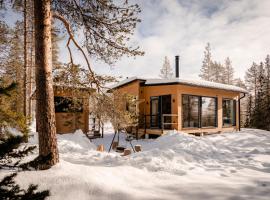 WALD Villas - Aavasaksa, Lapland, Hotel in Aavasaksa