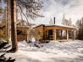WALD Villas - Aavasaksa, Lapland