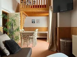 Appartement au pied des pistes à 20 min des Rousses