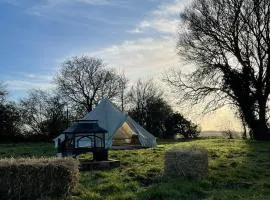 Happy Meadows - The Chick Inn