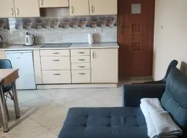 Noclegi kawalerka apartament w centrum Dzierżoniowa podwórko grill wynajm krótkoterminowy