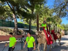 Camping Marina Plage