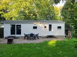 Gezellig chalet voor gezinnen op de Veluwe I Veldkamp F16