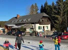Viehberghütte