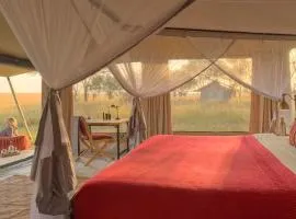 Greenway Nature Tours Africa