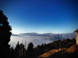 Smarthill Deodar Echoes