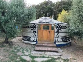 Yurta Agricamping Villamagra
