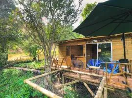 Glampbird-Tangara Real