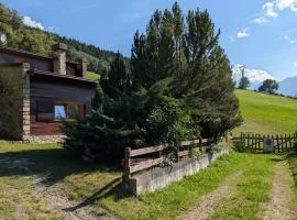 VILLA NALDINI Pista Stelvio ski in ski out