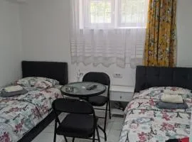 Suteren Aleksandar 3 - 50 m od bazena