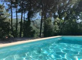 Quinta dos Medronheiros