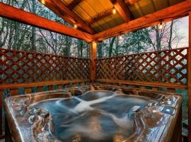 Unwind in Nature Arcade Adventure & Hot Tub, Hotel in Townsend