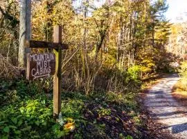 Smokies Cabin Near Cades Cove w Hot Tub