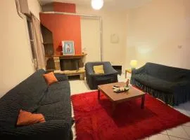 Ioannina Central Neighborhood Apartment