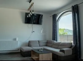 Pensiunea MALA House