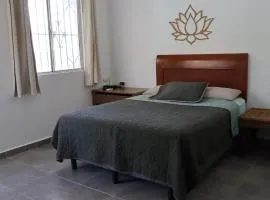 CASA JARDIN