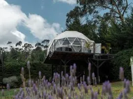 Domo Pajcha, Samaipata Glamping