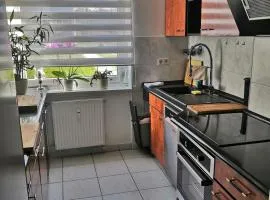 Handwerker Gästezimmer Salzgitter