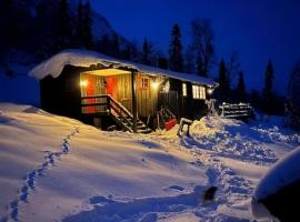 Cosy mountain cabin 875m near Turufjell, ski, fishing, hiking and quiet nature, hotel em Flå