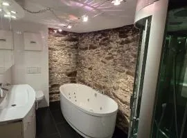 Fewo Brettmühle, Ferienwohnung im Erzgebirge mit einzigartigem Wellness-Badezimmer, Sauna und Kamin