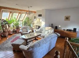 Fewo Brettmühle, Ferienwohnung im Erzgebirge mit einzigartigem Wellness-Badezimmer, Sauna und Kamin