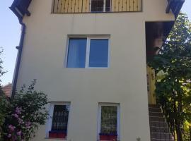 Apartament Teilor, Hotel in Râșnov