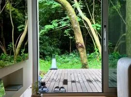 Mokha forest house