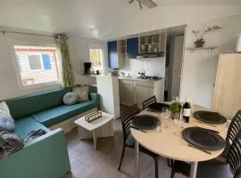 Mobil-home avec terrasse - 6 pers. - API-1-52-2042