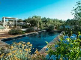Restored Trullo With Pool Near Alberobello