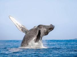 Viesnīca Cocolisso pilsētā El Coco