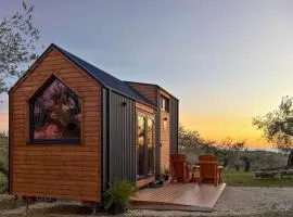 Intermezzo X by Tiny Away