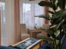 Mieszkanie blisko centrum Kalisza z garażem