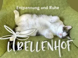 Schöne Zeit auf dem Libellenhof