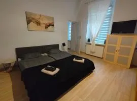 City Center Apartment - bezpłatny parking