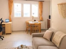 Studio cosy, Ile Verte, CHU Grenoble, Faculté