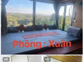 Bình Nguyên Homestay