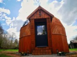 Le Cocon d'Eywa - Le Dôme de la Forêt de Lyons