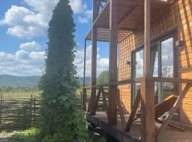 Doichman-Relax Карпати - сучасний котедж для відпочинку